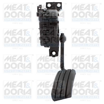 Accelerator Pedal Unit